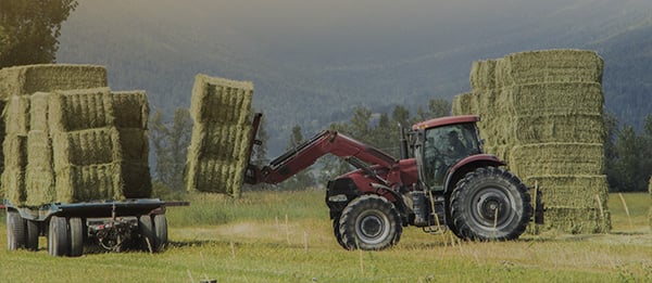 Tractor loading hay bales